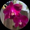 jrzgirl75